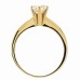 Δαχτυλίδι Μονόπετρο με Ζιργκόν Χρυσός Κ14