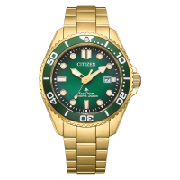 CITIZEN Promaster Gold Stainless Steel Bracelet BN0262-59W